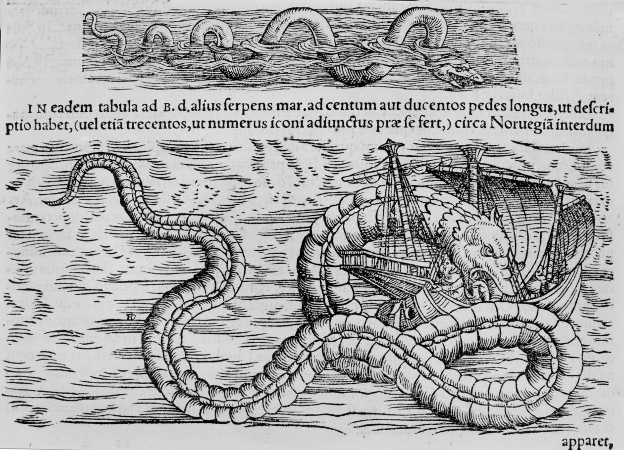 Sea snake, marine creature after Conrad Gesner by Unknown artist