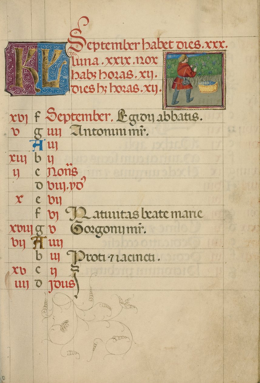 September Calendar Page; Harvesting Grapes by Unknown artist