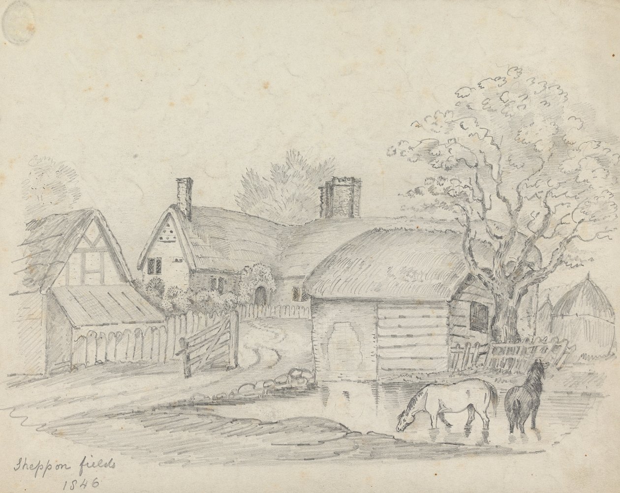 Sheppon Fields by Unknown artist