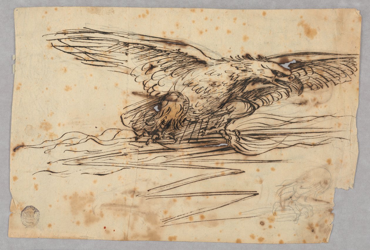 Sketches for the Representation of an Eagle Over a Thunderbolt by Unknown artist