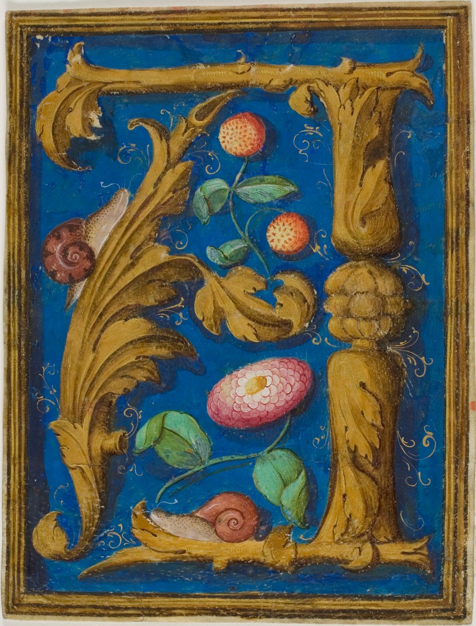 Snails, Strawberries and a Flower in a Decorated Initial 