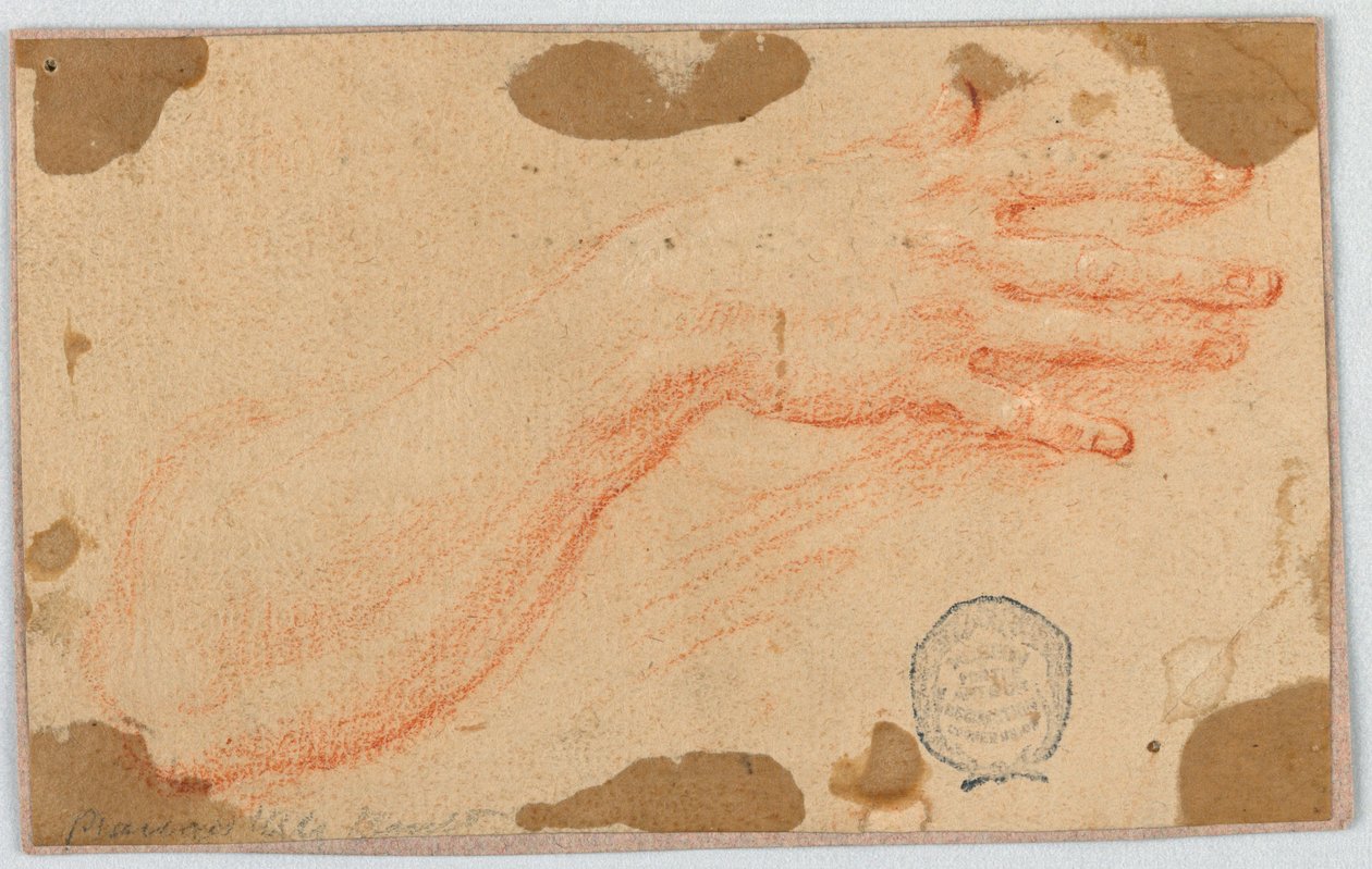 Study for the Right Forearm and Hand of a Woman by Unknown artist