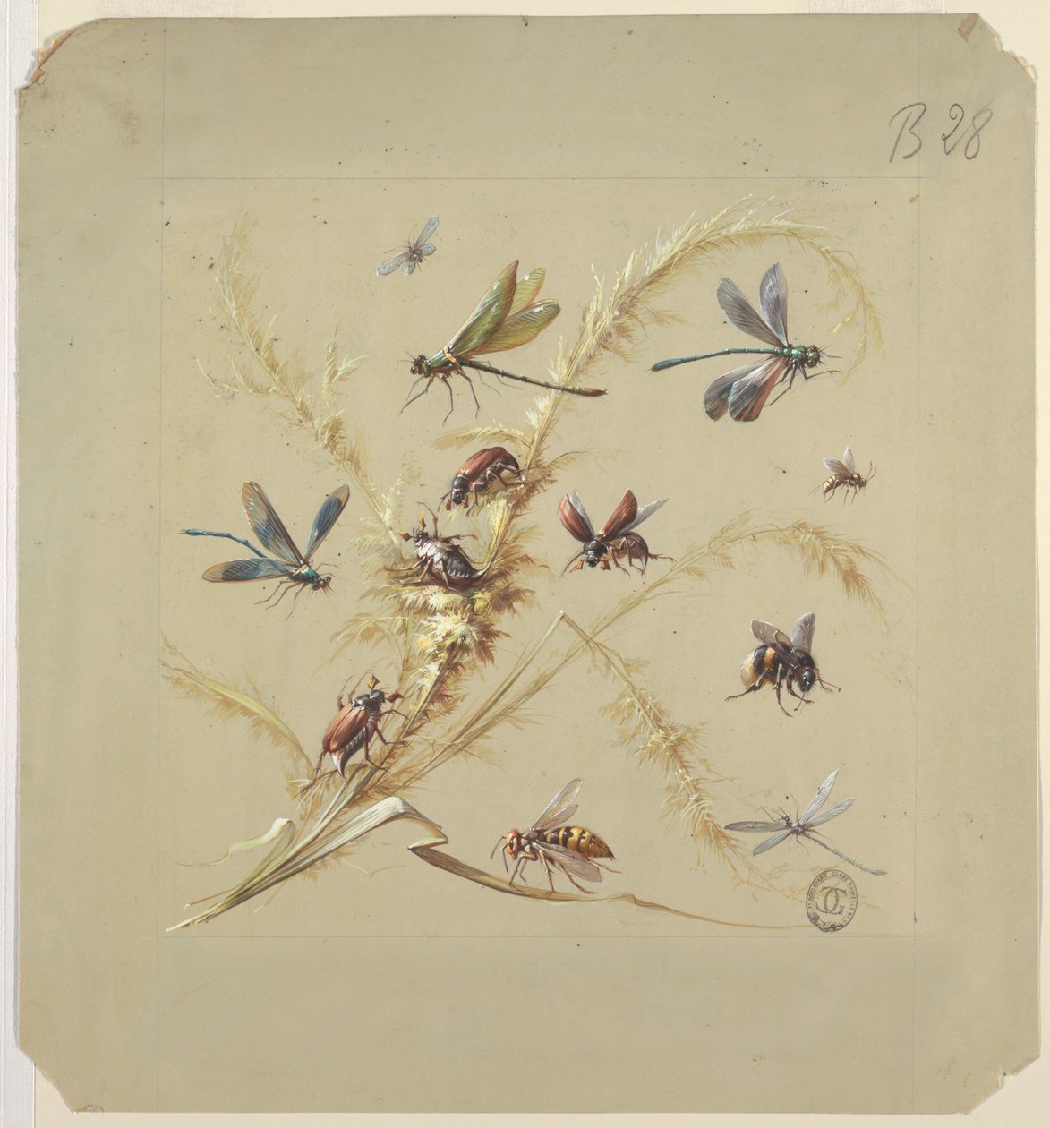 Textile or Wallpaper Design: Insects by Unknown artist