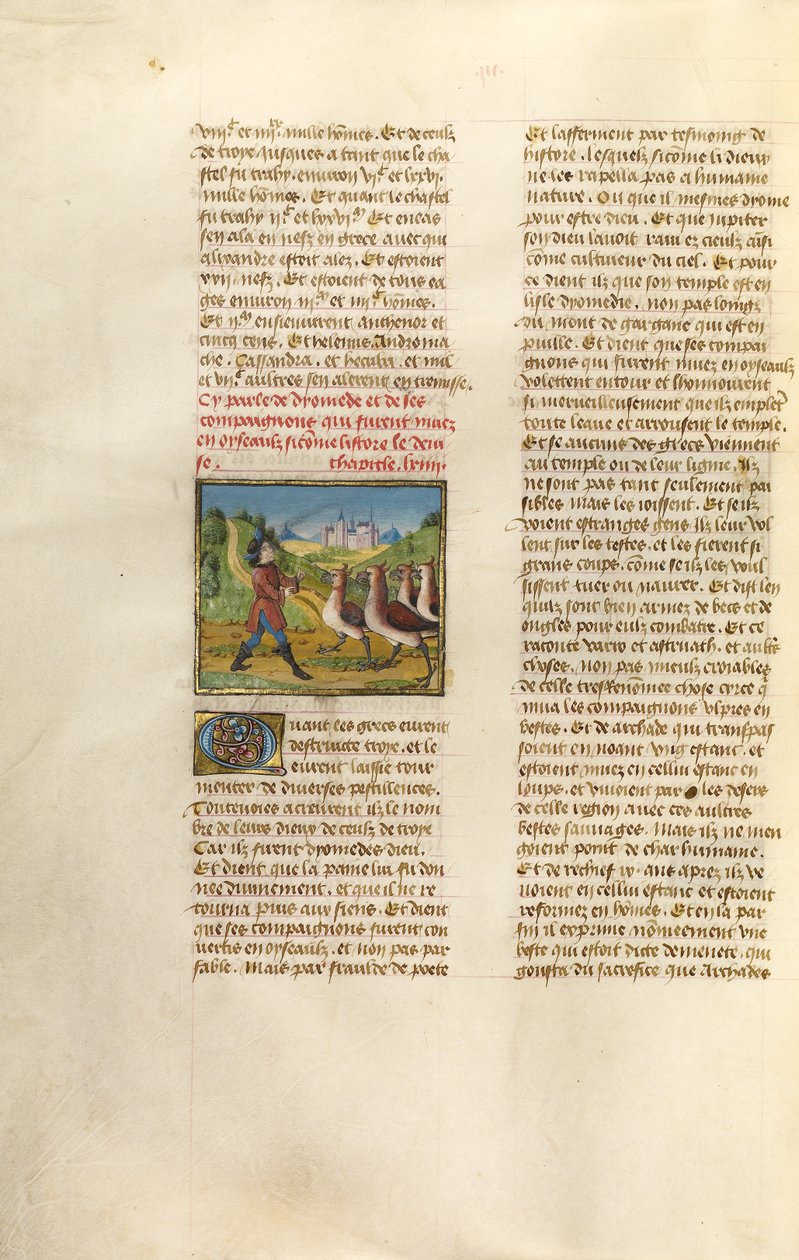 The Companions of Diomedes Changed to Geese by Unknown artist