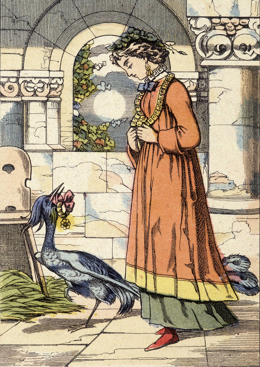 The Princess and the Blue Bird - illustration of the tale 'The Blue Bird'