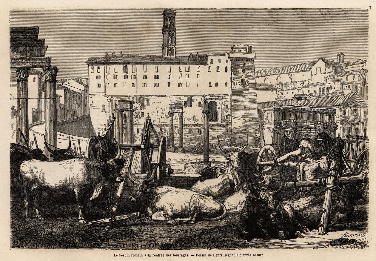 The Roman forum has the rent of fodder, the oxen lie in the middle of carts and ancient ruins. Engraving to illustrate the voyage to Rome by Unknown artist