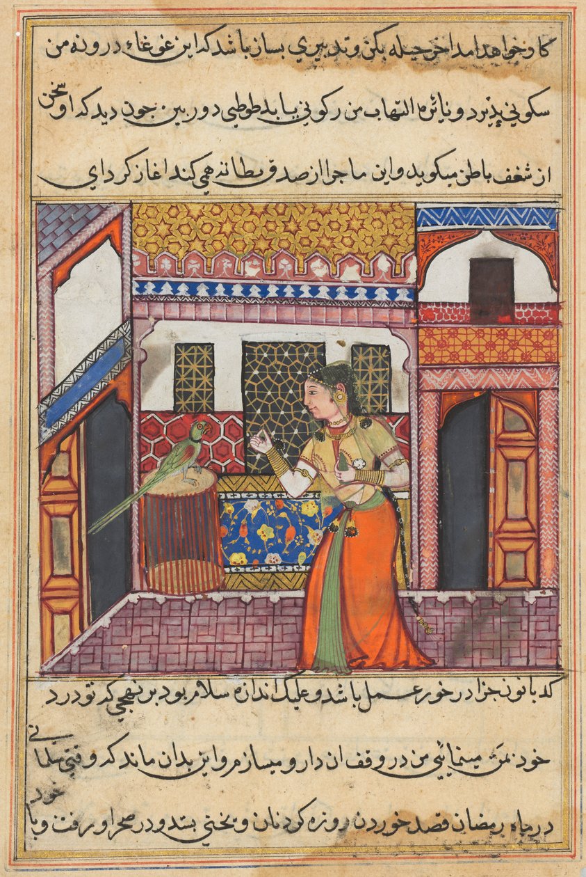 The parrot addresses Khujasta at the beginning of the forty-third night, from Tales of a Parrot by Unknown artist
