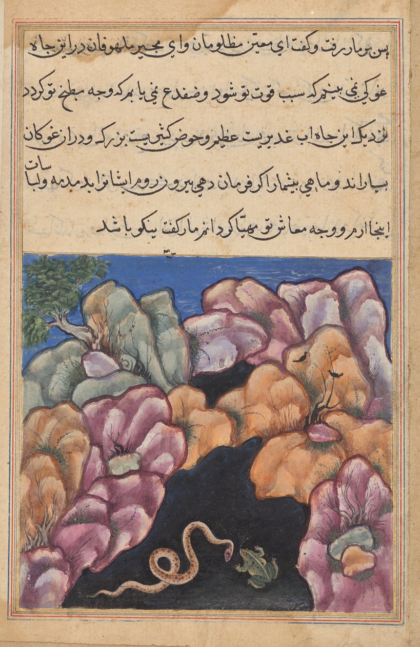 The snake enters into an argument with the frog (Tales of a Parrot: Twenty-sixth Night) by Unknown artist