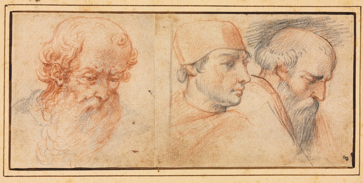 Three Head Studies by Unknown artist