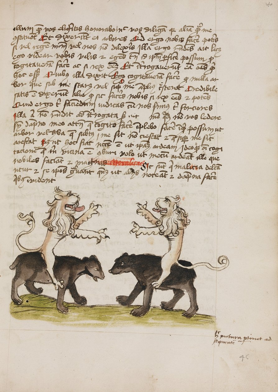 Two Lions Sitting on the Backs of Two Bears by Unknown artist