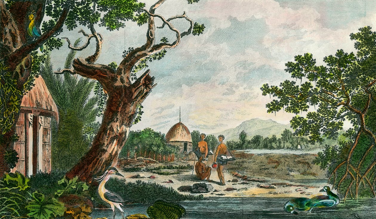 Unknown Image by Unknown artist