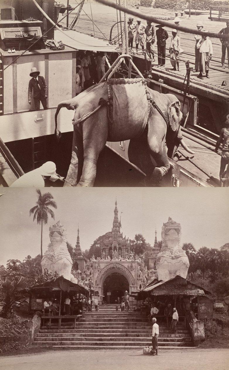 Untitled: (elephant being loaded onto a ship); (steps and building) by Unknown artist