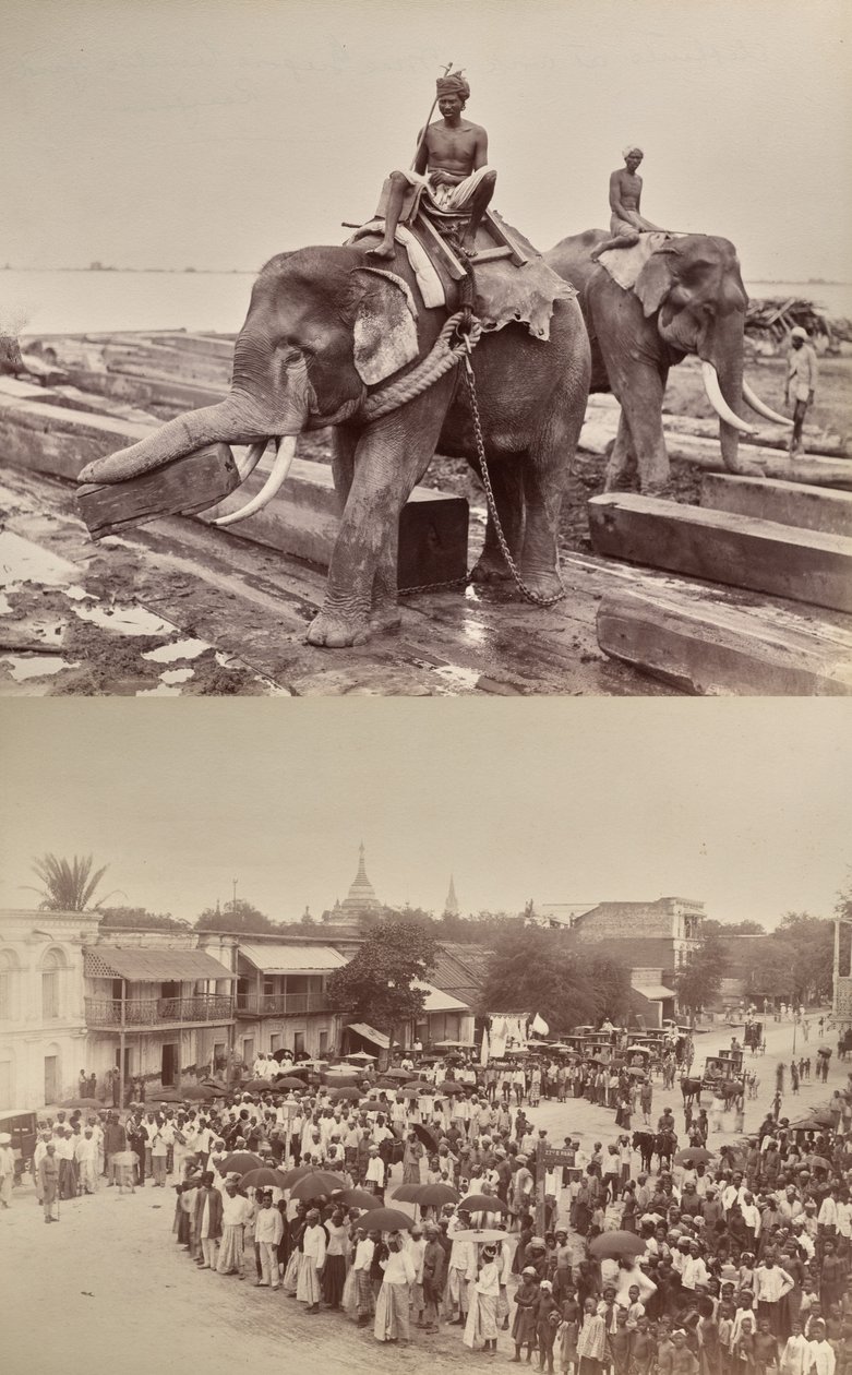 Untitled (elephants moving blocks of wood, recto; procession or crowd, verso) by Unknown artist