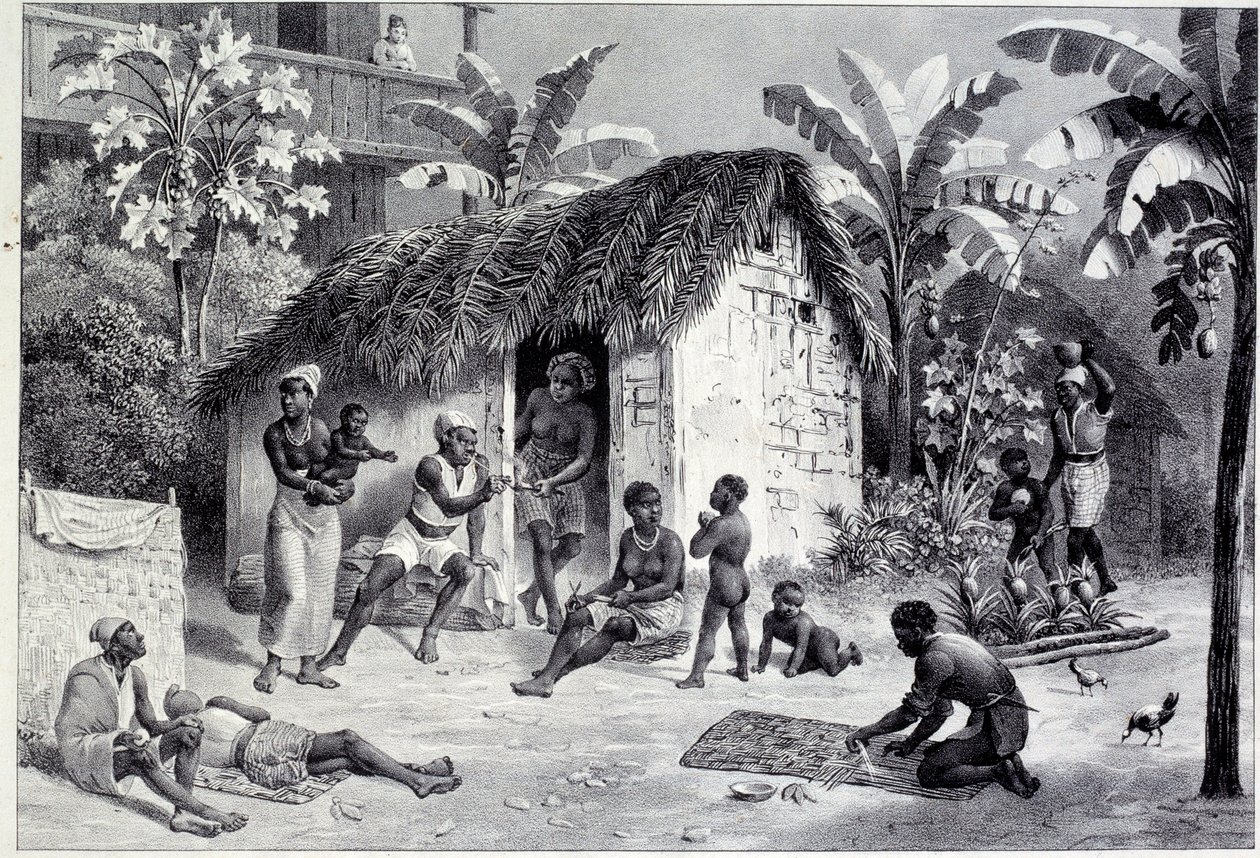 View of a Plantation with a Carbon of Negres in the West Indies by Unknown artist