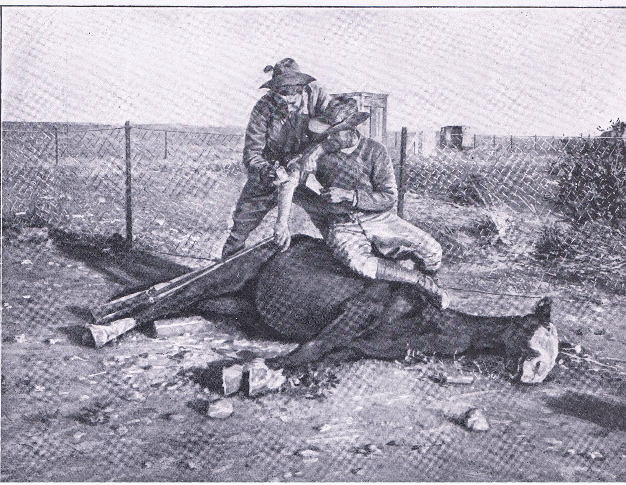 A Narrow Escape, from After Pretoria: The Guerilla War published by Harmsworth Bros Limited by Unknown photographer