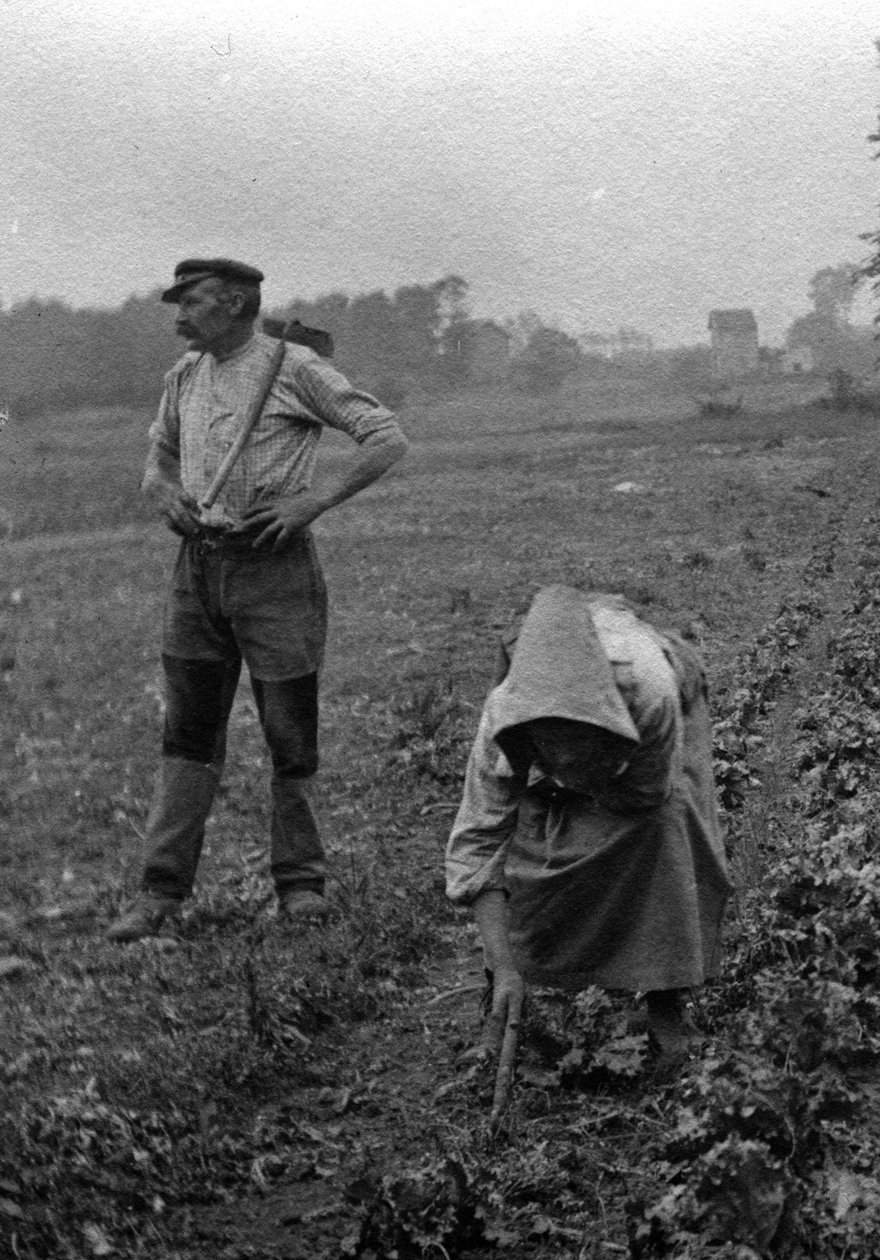 French Peasants Working in the Fields, Somme 1921 by Unknown photographer
