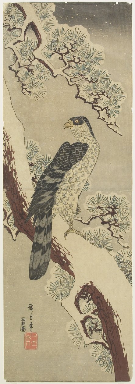 Hawk on Pine Branch, Winter, early 19th century by Utagawa Hiroshige