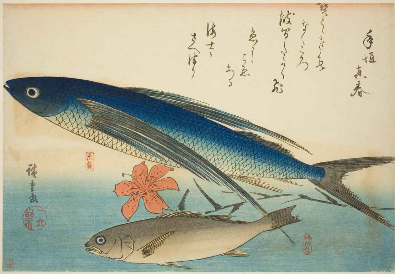 Flying Fish and Ichimochi, from an Untitled Series of Fish by Utagawa Hiroshige