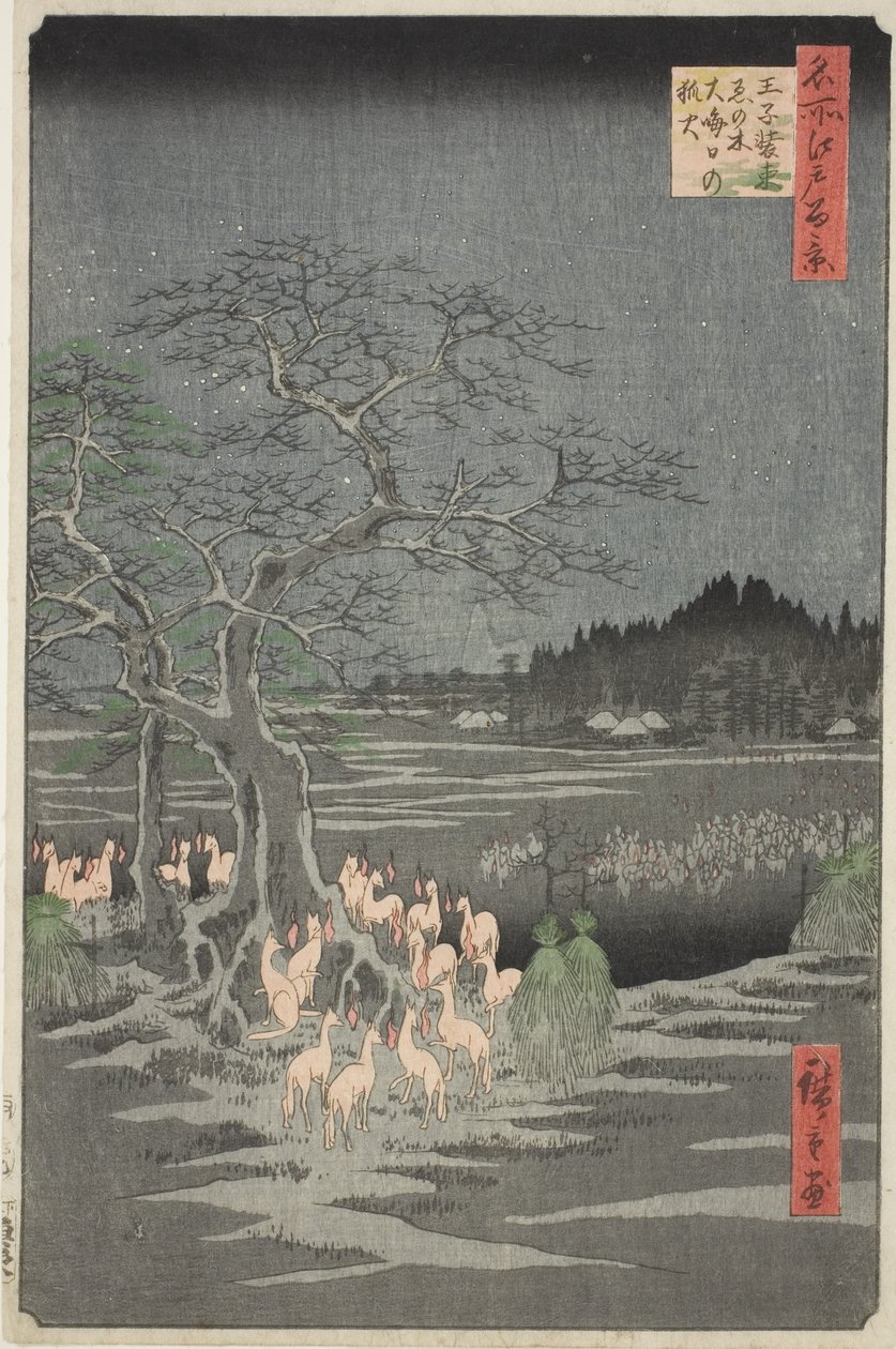 Fox Fires on New Year