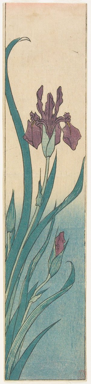 Iris by Utagawa Hiroshige