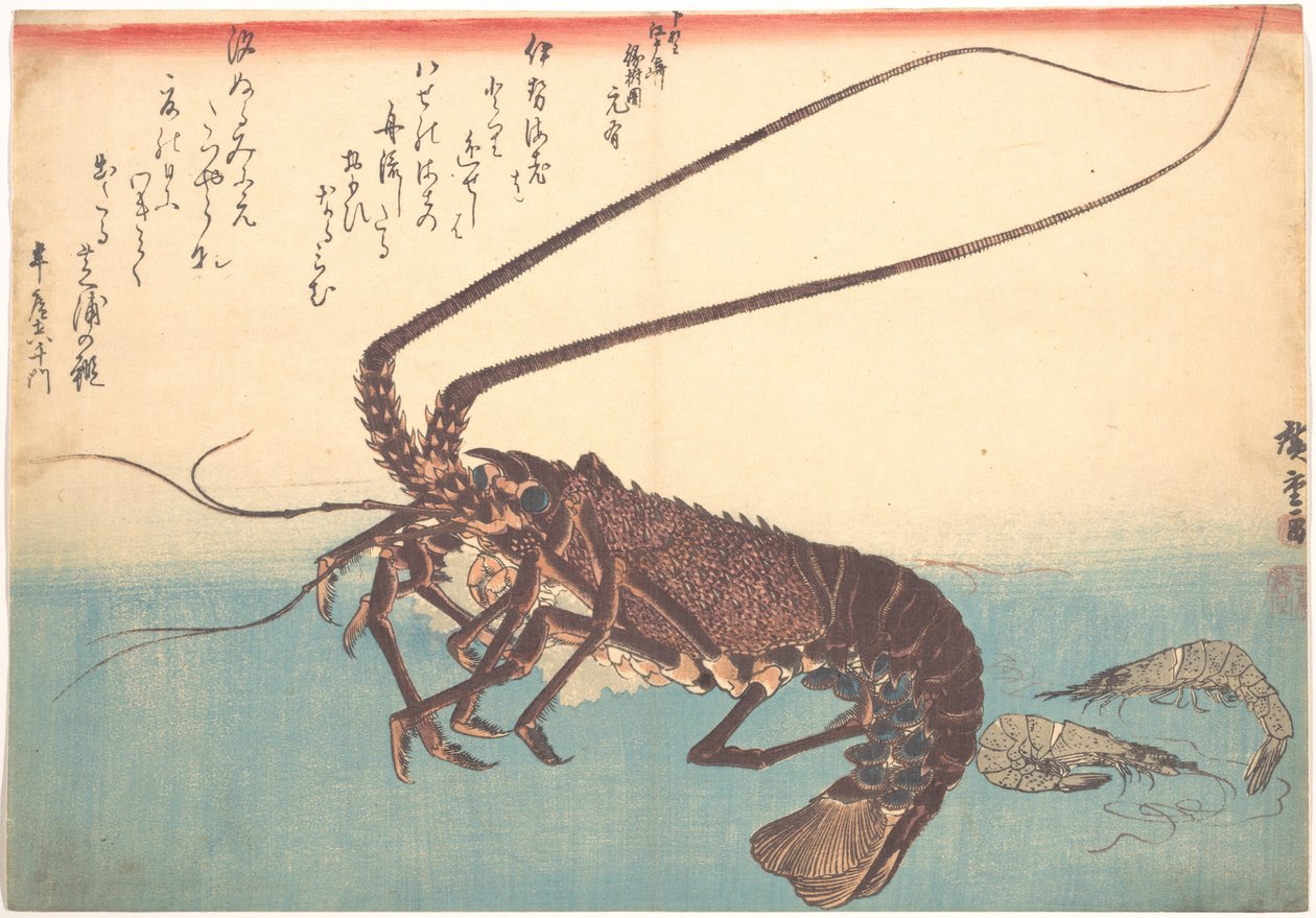 Ise-ebi and Shiba-ebi, from the Series Uozukushi (Every Variety of Fish) by Utagawa Hiroshige