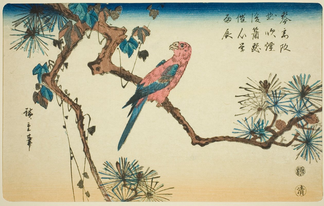 Macaw on Pine Branch by Utagawa Hiroshige