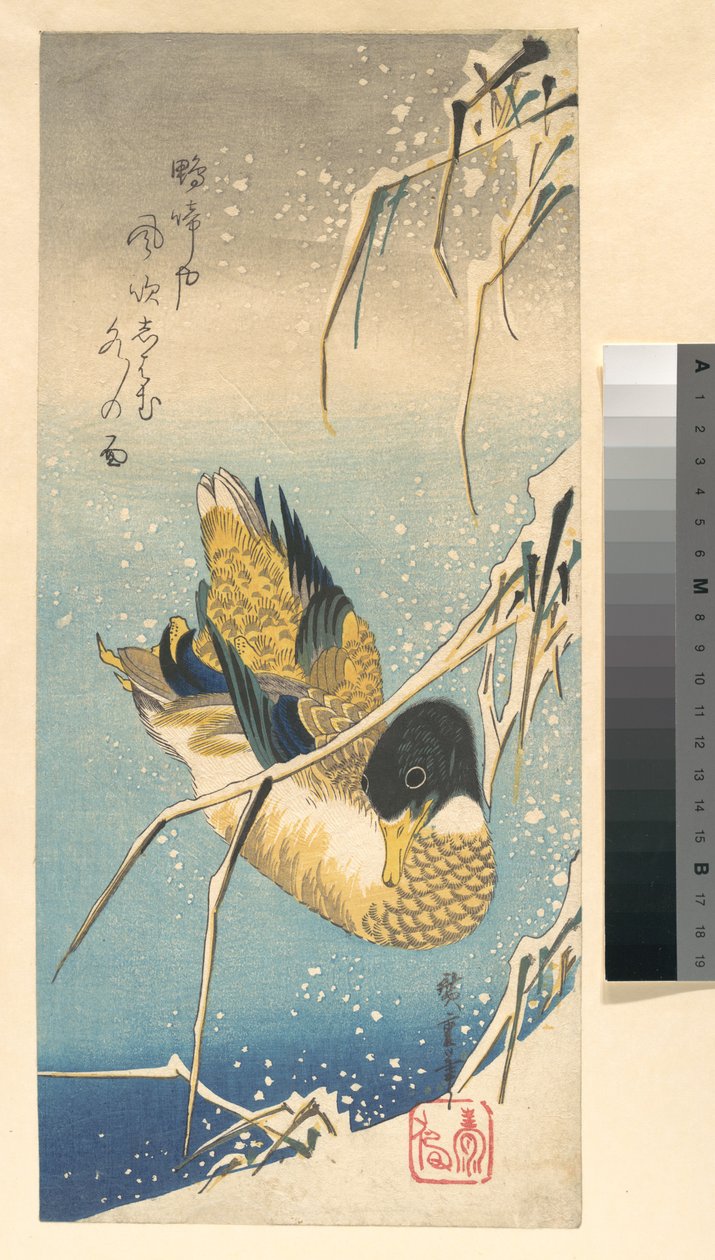 Mallard Duck and Snow-covered Reeds by Utagawa Hiroshige