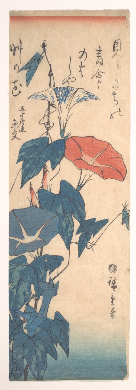 Morning Glories by Utagawa Hiroshige