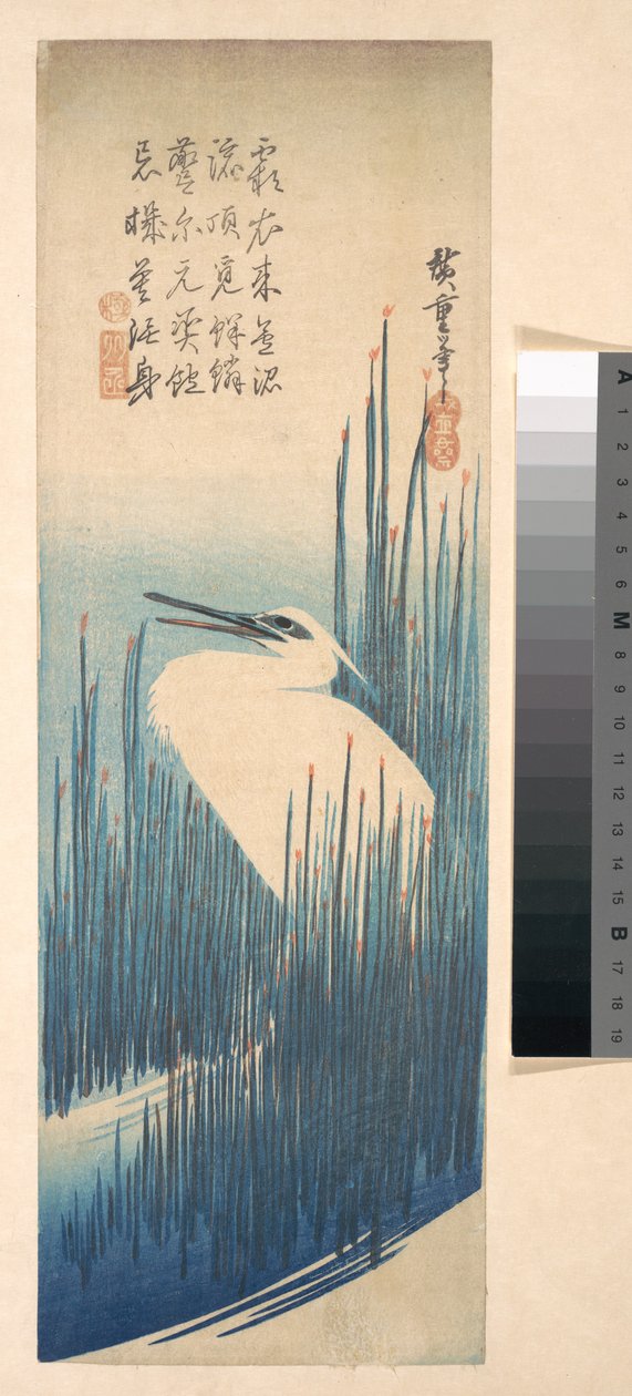 White Heron Standing among Reeds by Utagawa Hiroshige