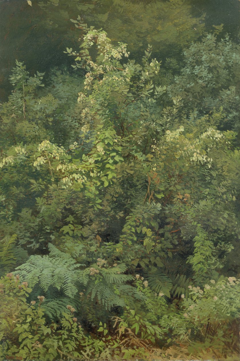 Hops and Ferns in Woodland, 1870 by Valentin Ruths