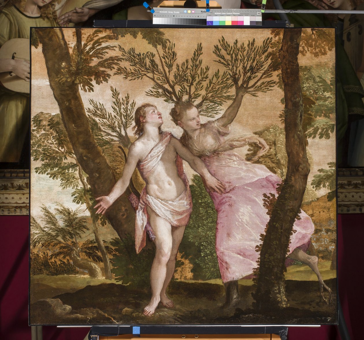 Apollo and Daphne, c.1560-65 by Paolo Veronese