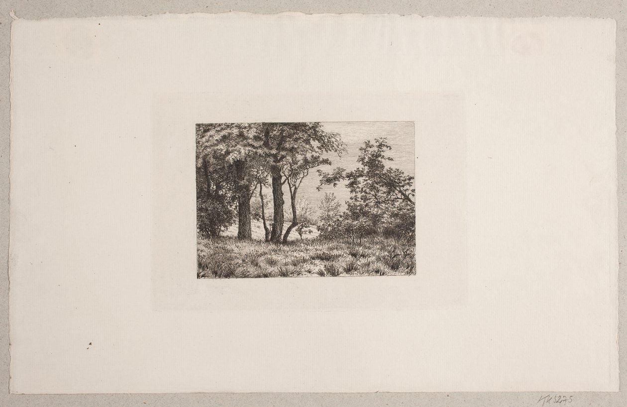 Oak Trees at the Edge of a Forest by Vilhelm Kyhn