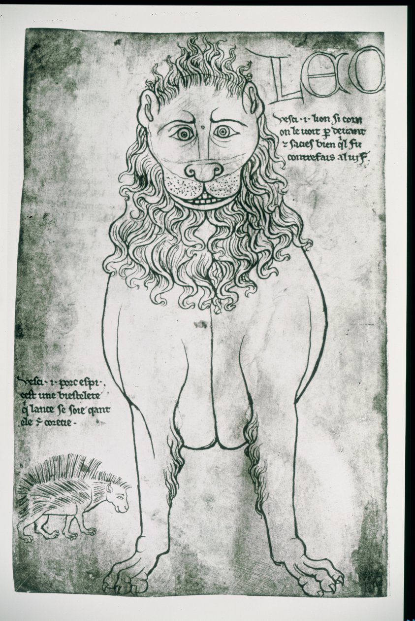 Lion and Porcupine (facsimile) by Villard de Honnecourt