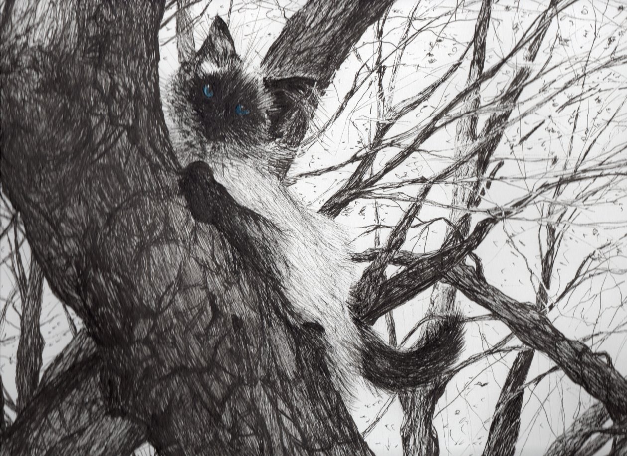 Up the apple tree by Vincent Alexander Booth