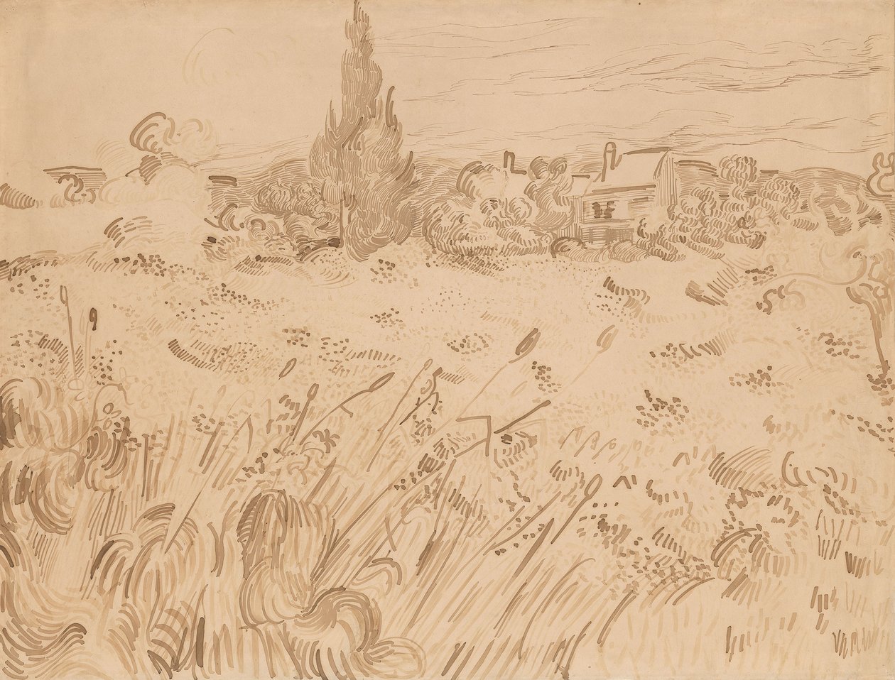 Wheatfield, Saint-Rémy de Provence by Vincent van Gogh