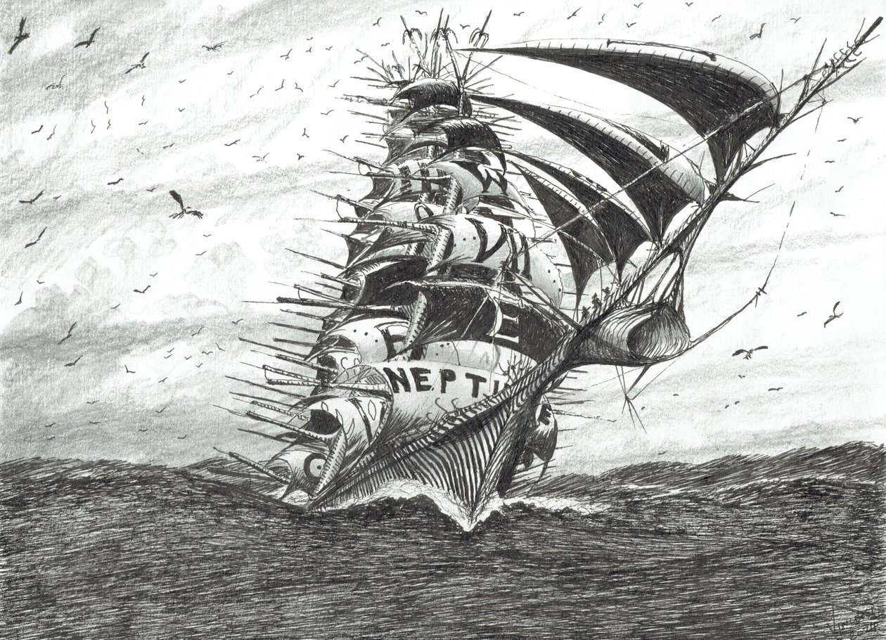 Storm Creators Cape Dolphin, 2024 by Vincent Alexander Booth
