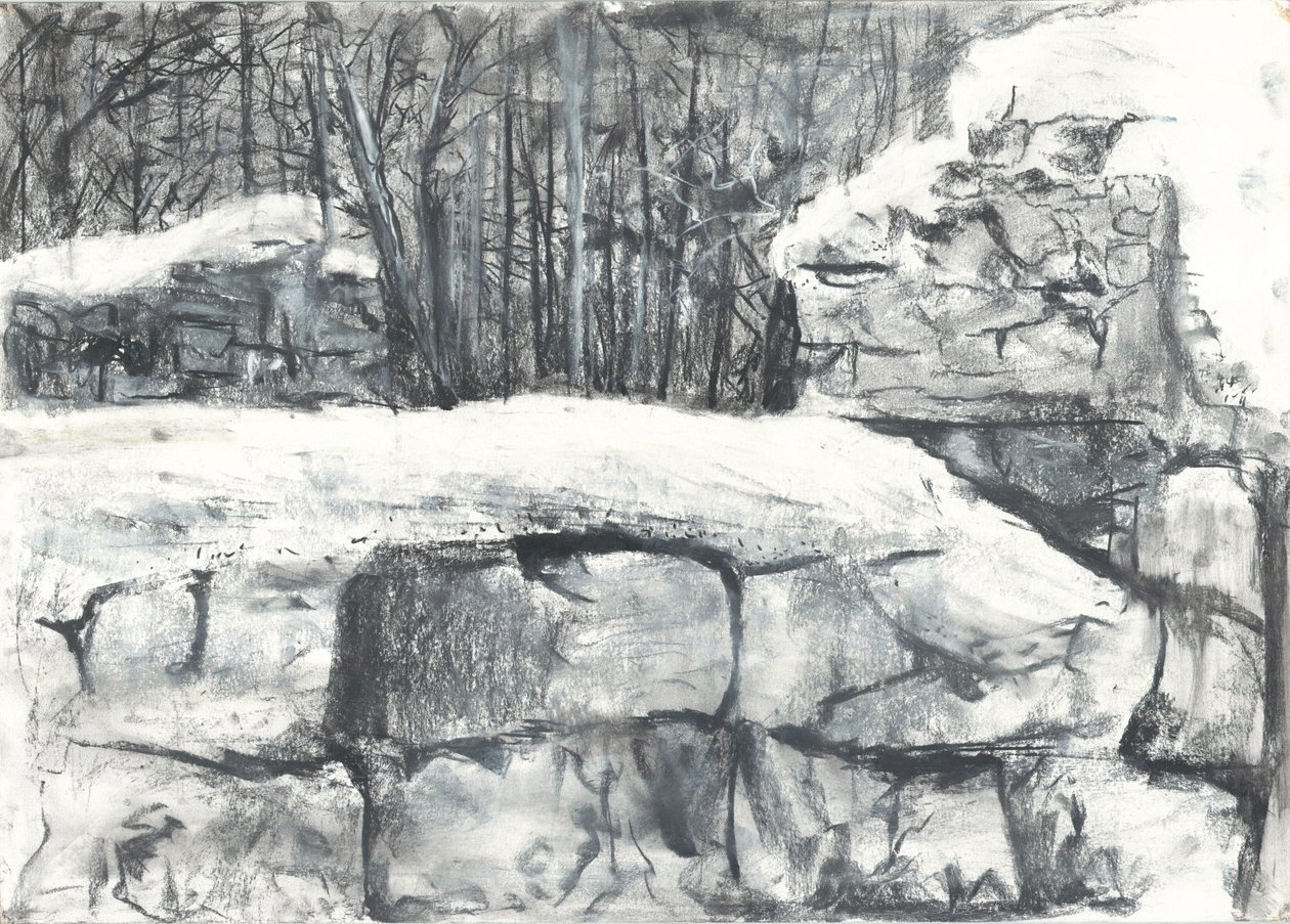 Wall in the Woods Osmotherley by Vincent Alexander Booth