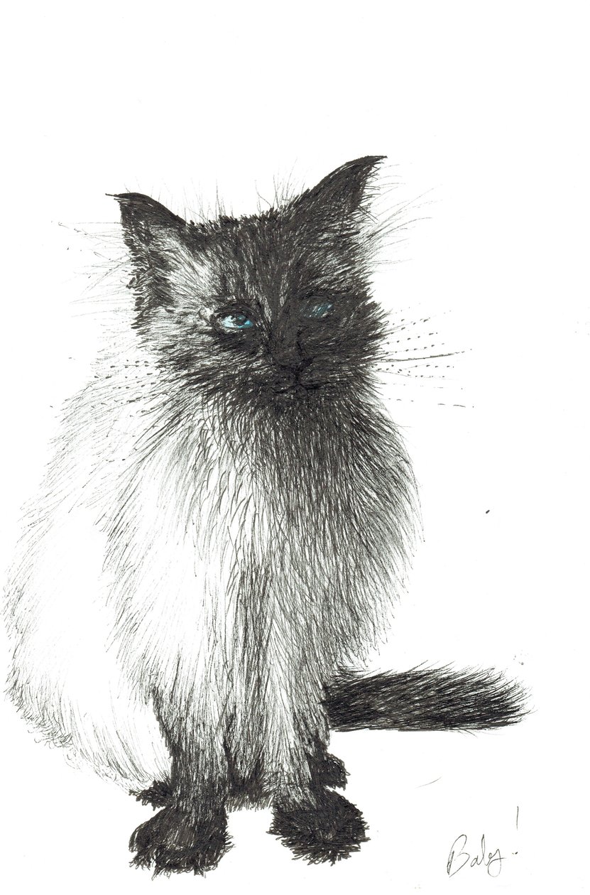 Young Baby, 2004 by Vincent Alexander Booth