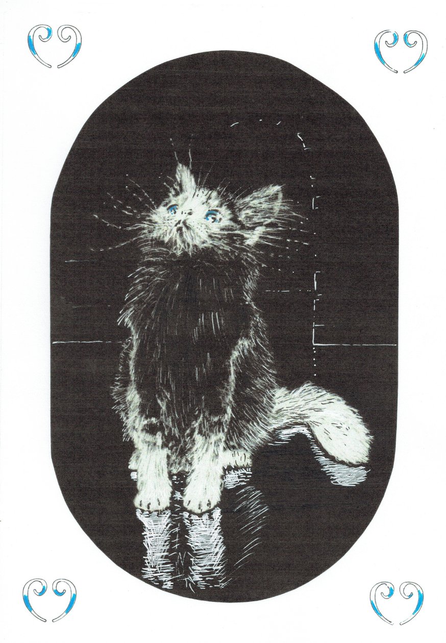 Page 1, The Castle in the Forest of Findhorn by Vincent Alexander Booth