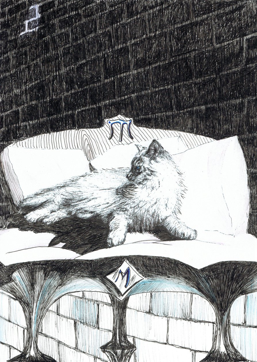 page52, The Castle in the Forest of Findhorn, 2006 by Vincent Alexander Booth