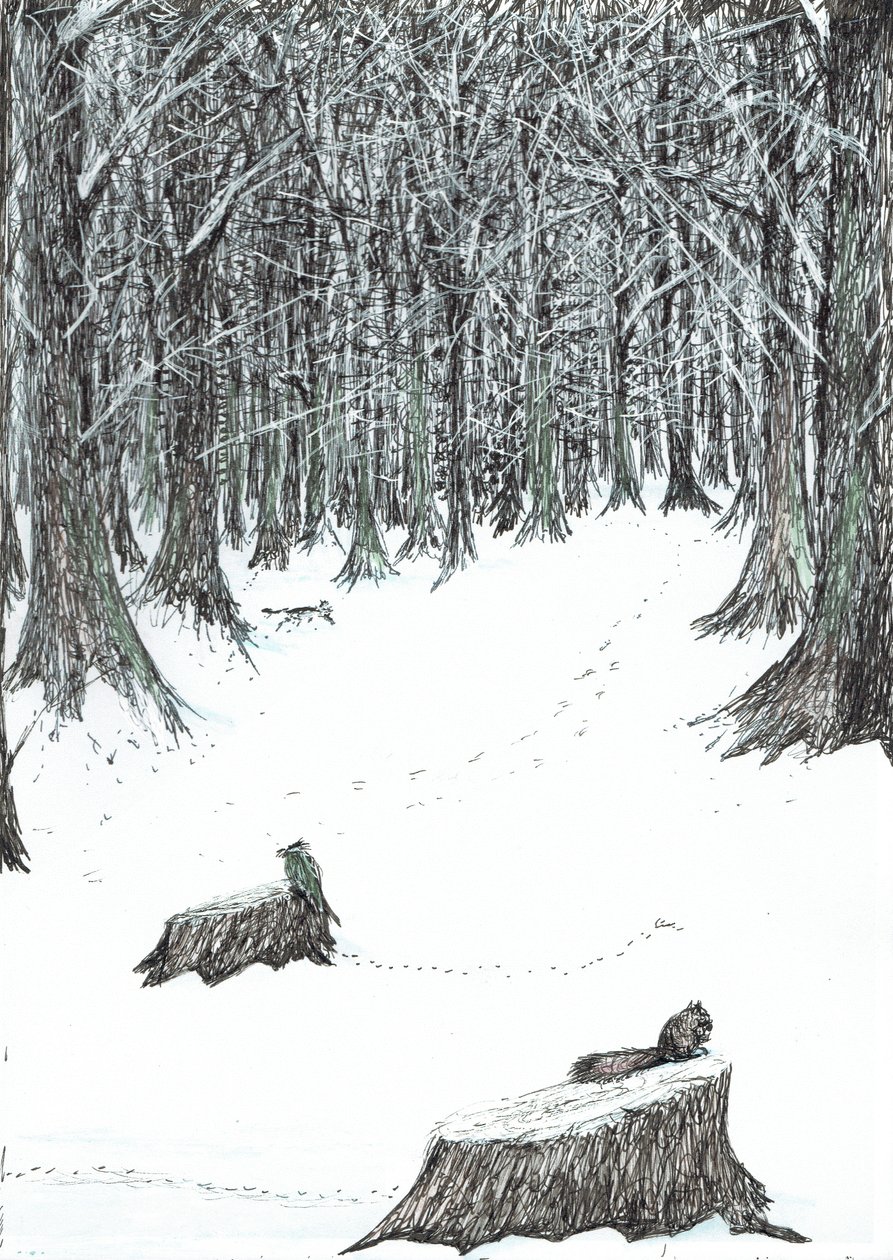 Page 5, The Castle in the Forest of Findhorn by Vincent Alexander Booth