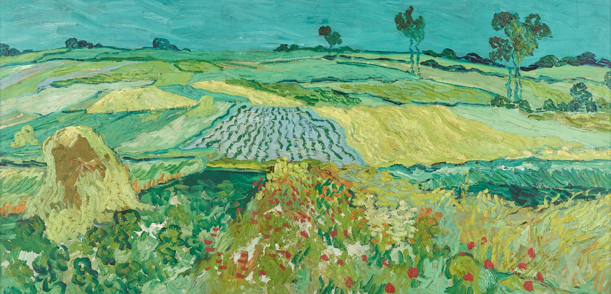 The Plain of Auvers by Vincent van Gogh