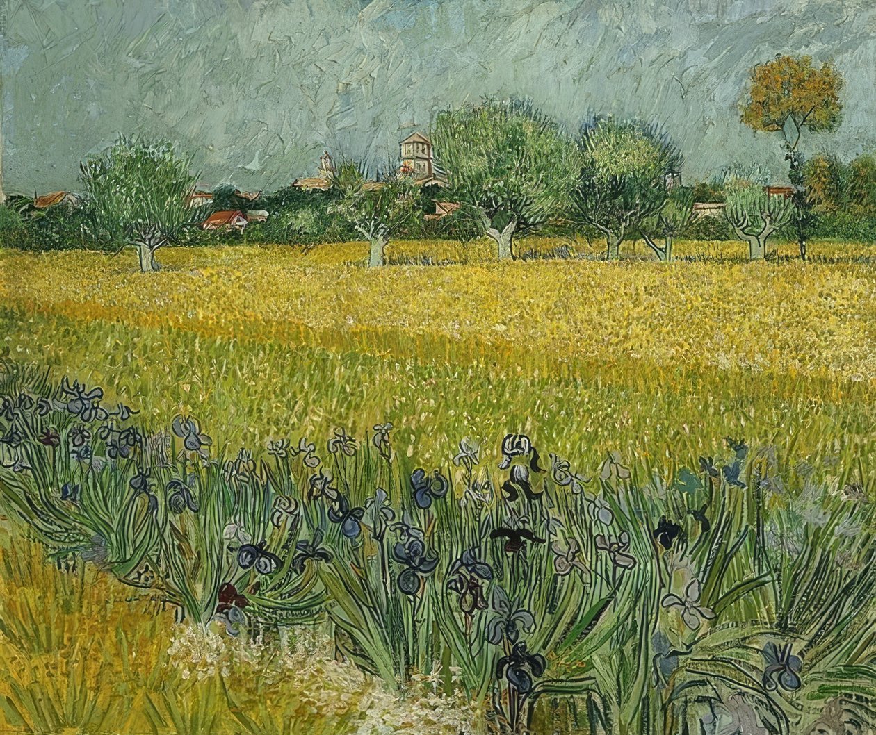Field with Irises near Arles. May 1888 by Vincent van Gogh