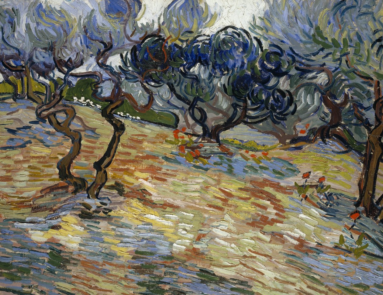 Olive Trees: Bright Blue Sky by Vincent van Gogh