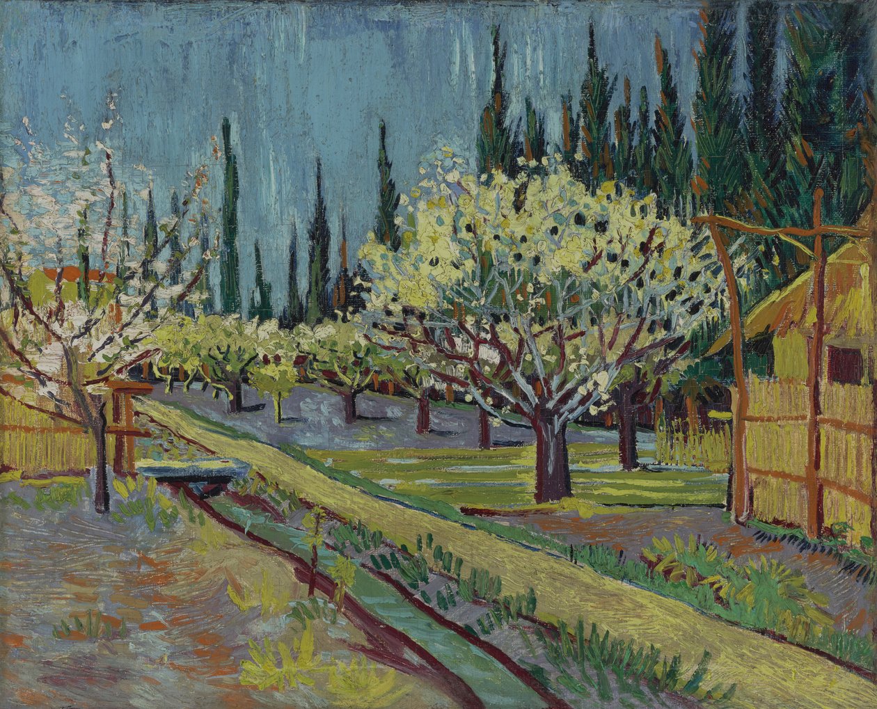 Orchard Bordered by Cypresses by Vincent van Gogh