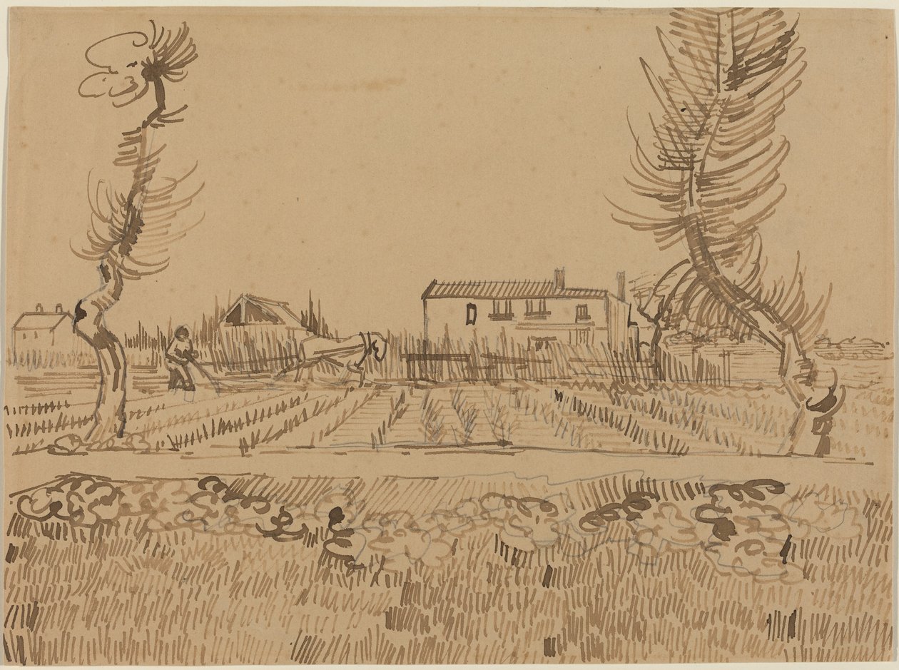 Ploughman in the Fields near Arles by Vincent van Gogh