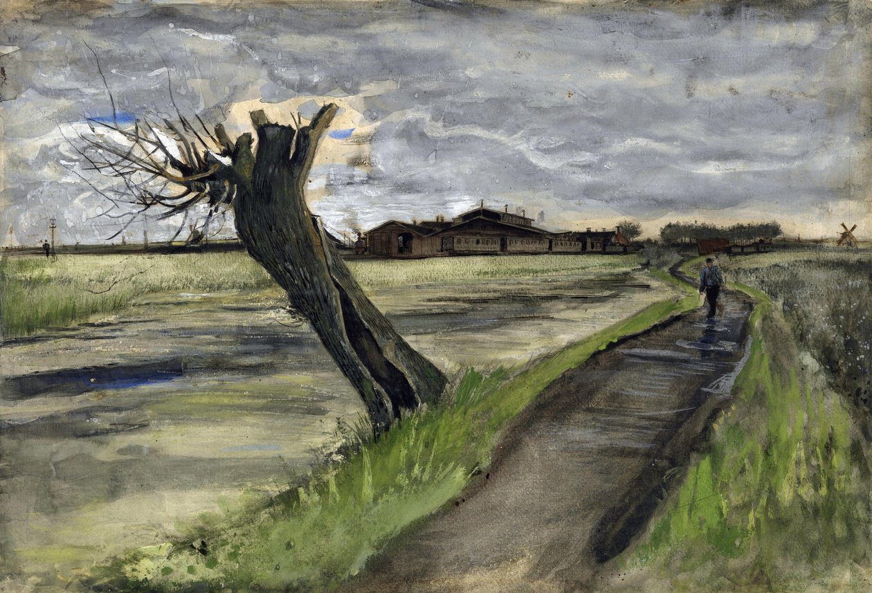 Pollard Willow by Vincent van Gogh