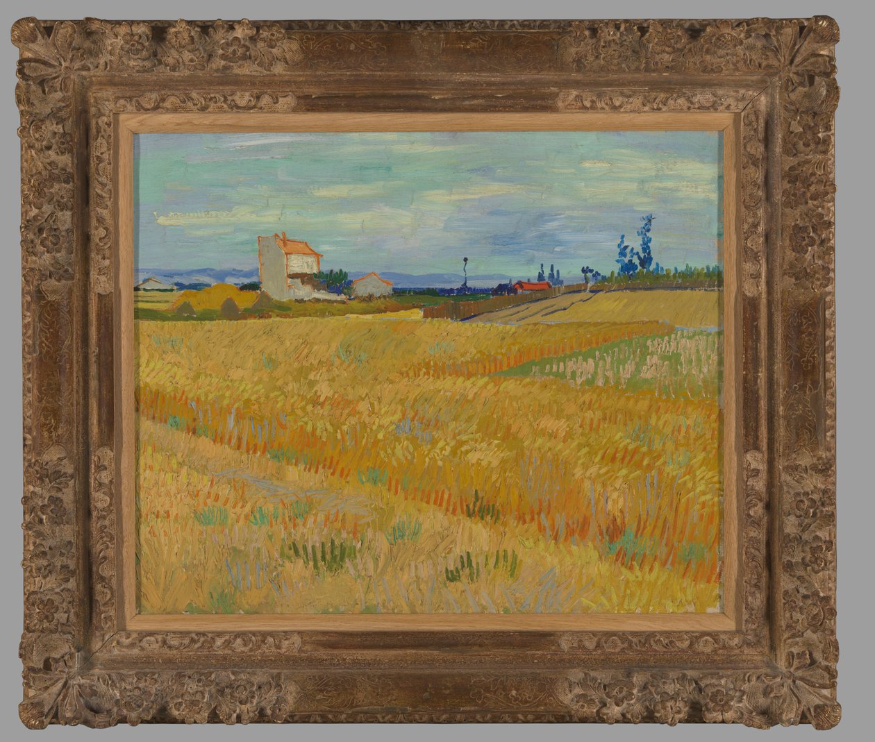 Wheatfield by Vincent van Gogh