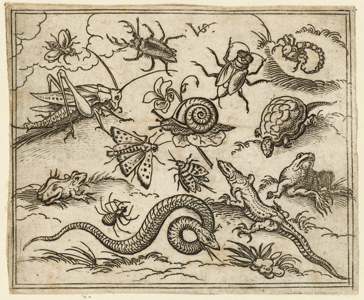 Group of insects and reptiles on plain ground with rocks, including an iguana, a lizard, 1557 by Virgil Solis