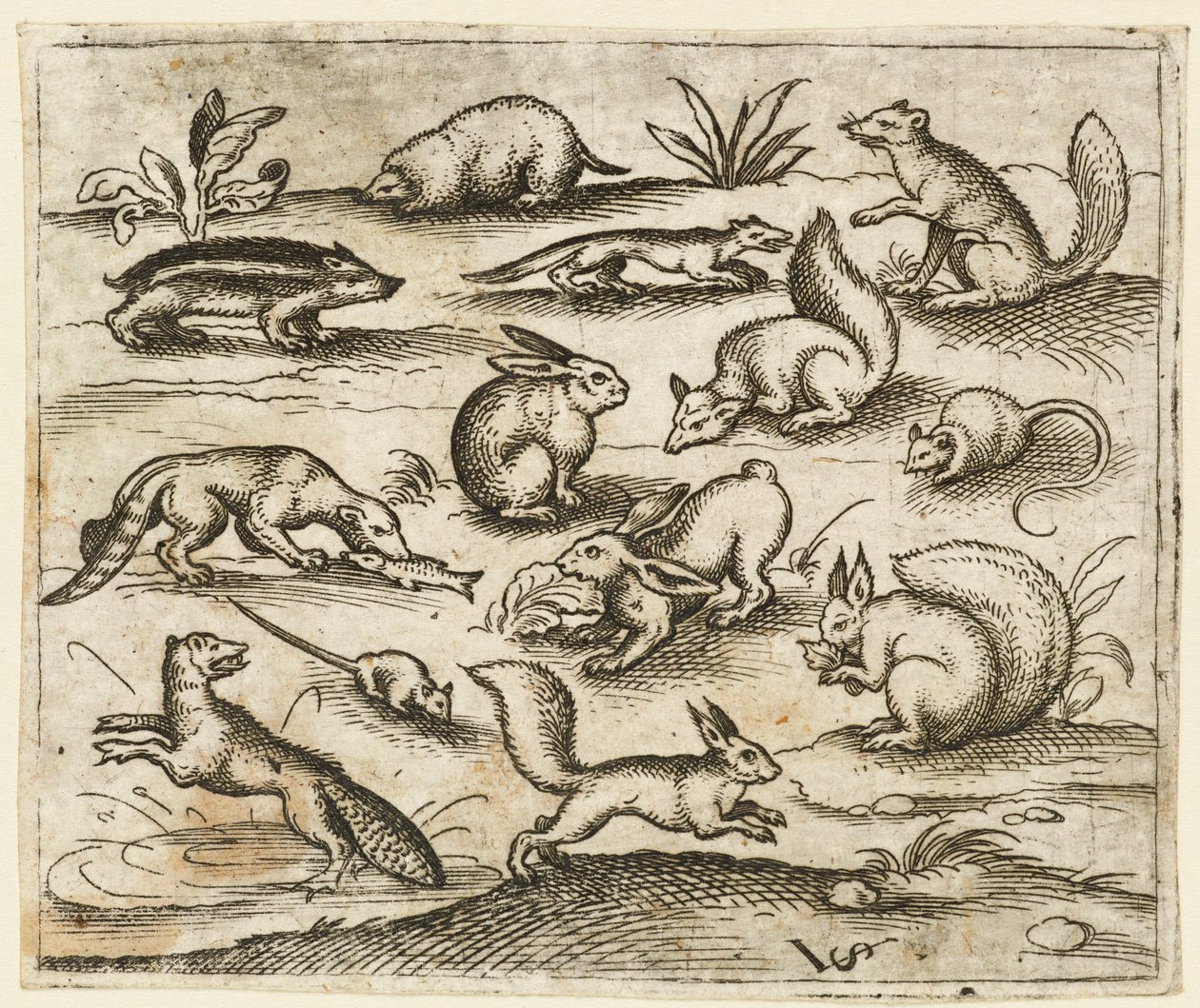 Group of Small Woodland Creatures Eating and Running Around a Pond, including a Mouse, 1557 by Virgil Solis